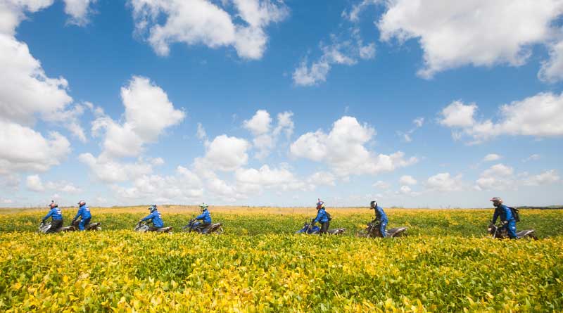 motos em plantação de soja